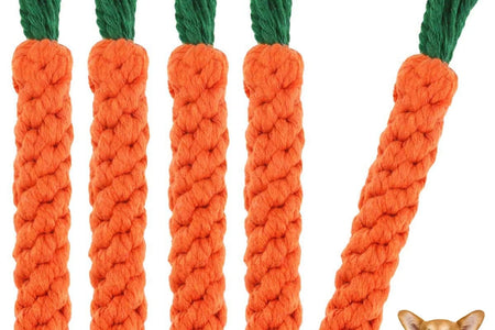 5 Pieces Dog Chew Toys, Safe Durable Puppy Teething Chewing Braided Toys, Medium Large Pet Dog Cotton Knot Paws Fun Molar for Clean Teeth Healthy